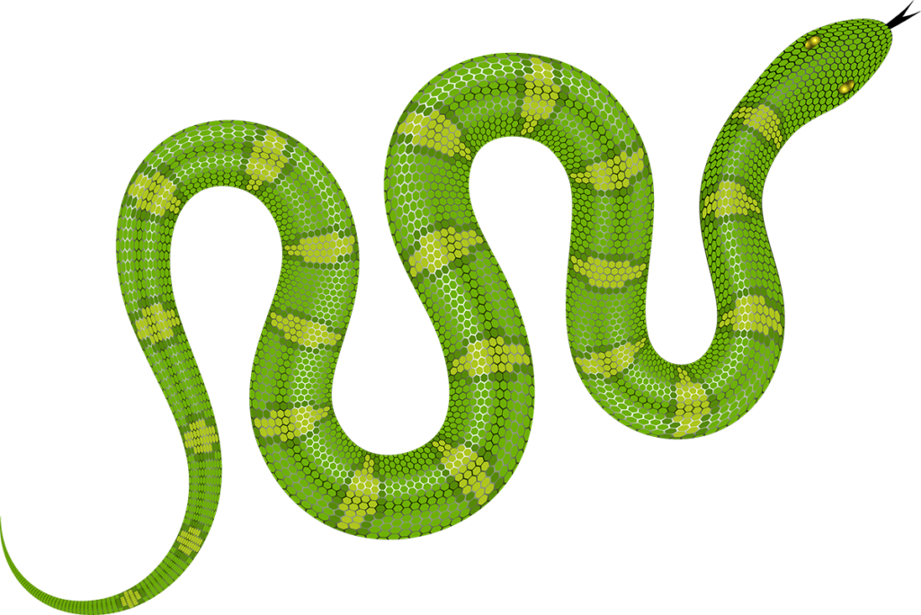Green Snake